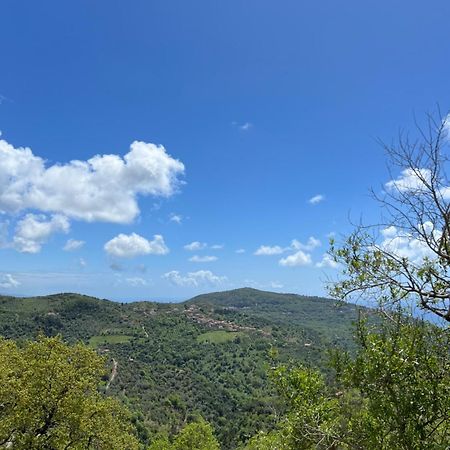 Dente Di Leone Hotel San Mauro Cilento Bagian luar foto
