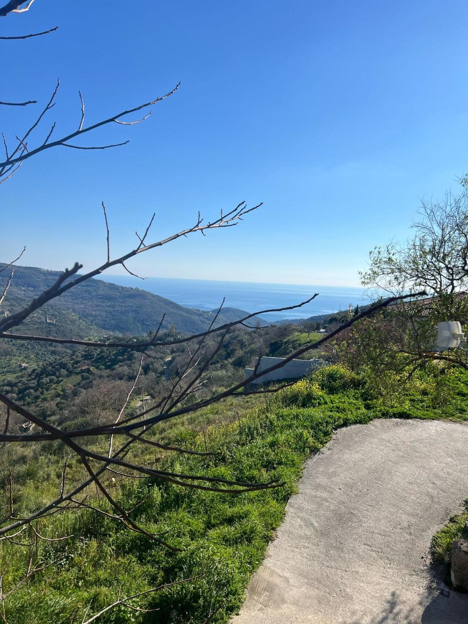 Dente Di Leone Hotel San Mauro Cilento Bagian luar foto